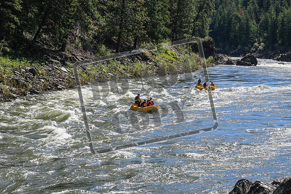 20260619-IMG_6414