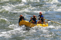 20260619-IMG_6439
