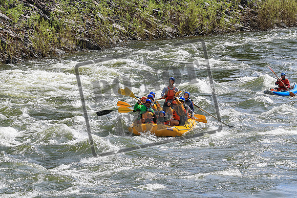 20260619-IMG_6494