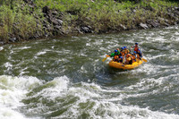 20260619-IMG_6500