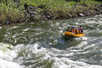 20260619-IMG_6499
