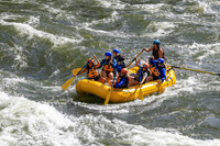 20260619-IMG_6536