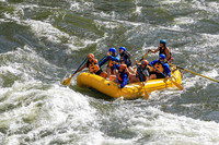 20260619-IMG_6537