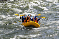 20260619-IMG_6530