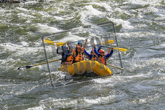 20260619-IMG_6530