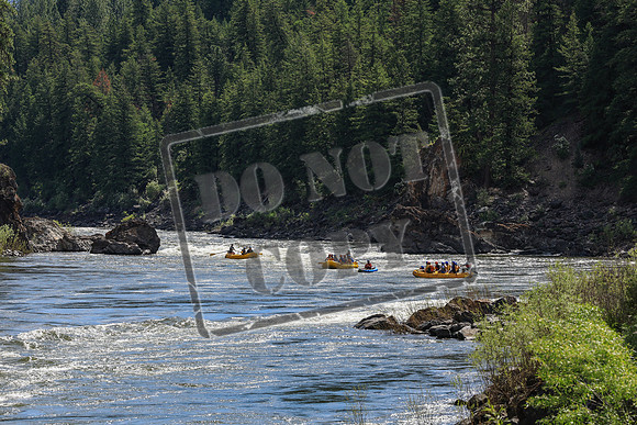 20260619-IMG_6487