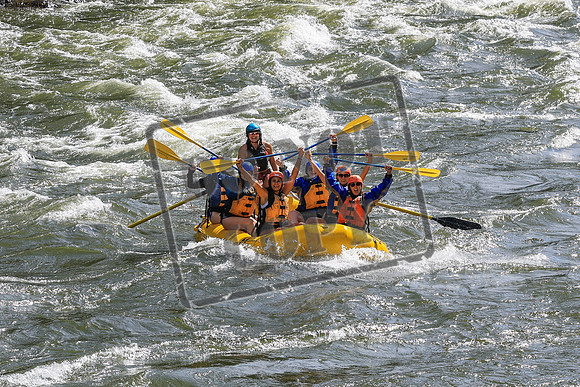 20260619-IMG_6529
