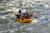 20260619-IMG_6528