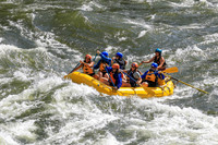 20260619-IMG_6538