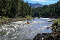 20260619-IMG_6568
