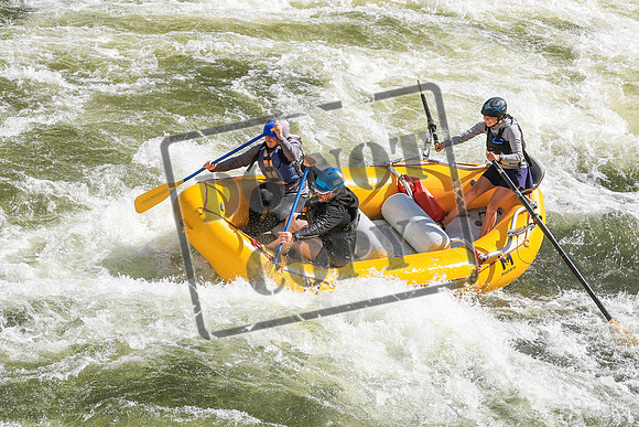 20260619-IMG_6587