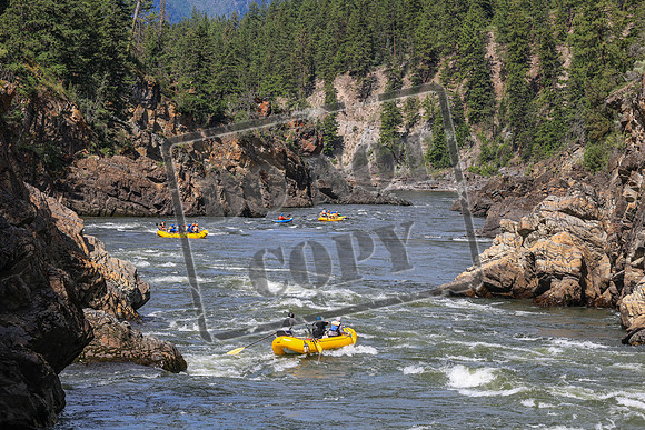 20260619-IMG_6592