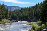20260619-IMG_6485