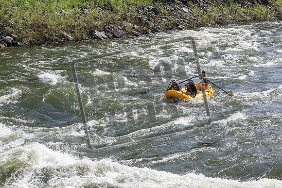 20260619-IMG_6572
