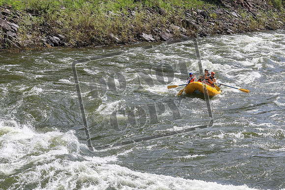 20260619-IMG_6690