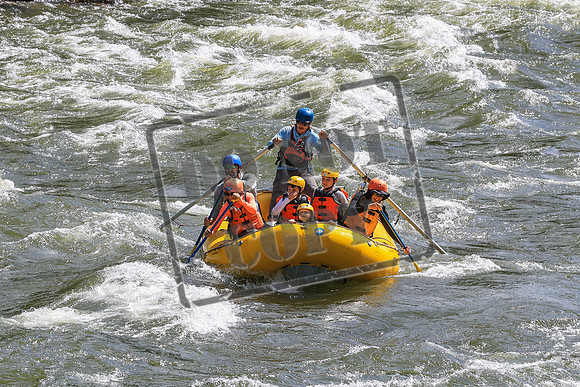 20260619-IMG_6718