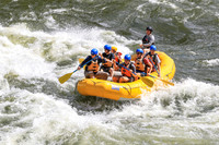 20260619-IMG_6949