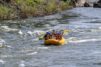 20260619-IMG_6939