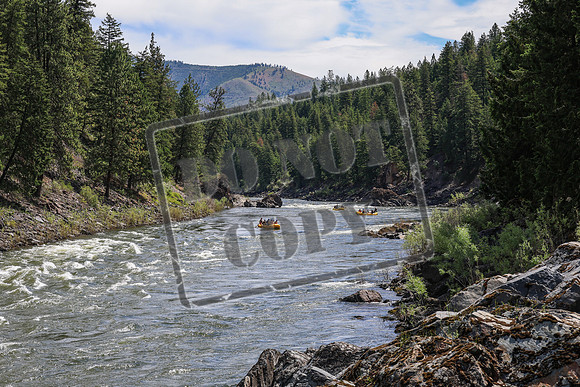 20260619-IMG_6937