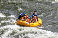 20260619-IMG_6946