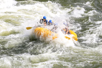 20260619-IMG_6952