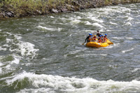 20260619-IMG_6941