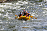 20260619-IMG_6961