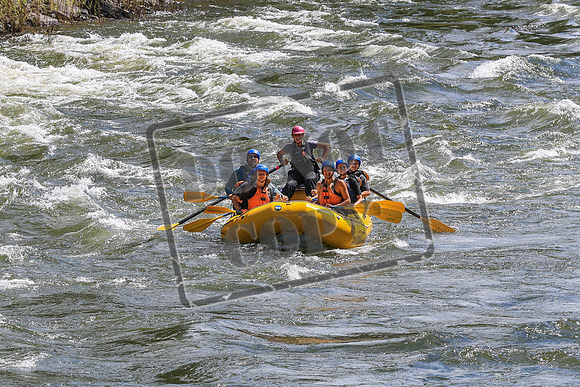 20260619-IMG_6961