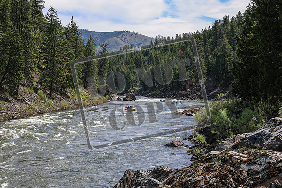 20260619-IMG_6936