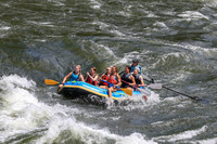 20260619-IMG_7223