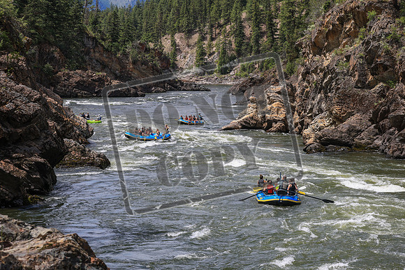 20260619-IMG_7306