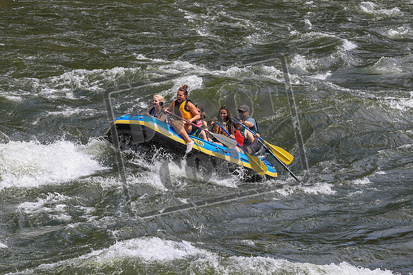 20260619-IMG_7286