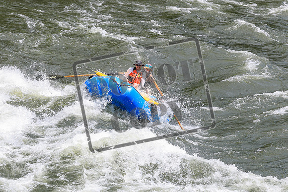 20260619-IMG_7670