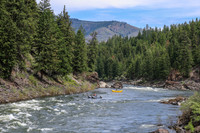 20260619-IMG_7899