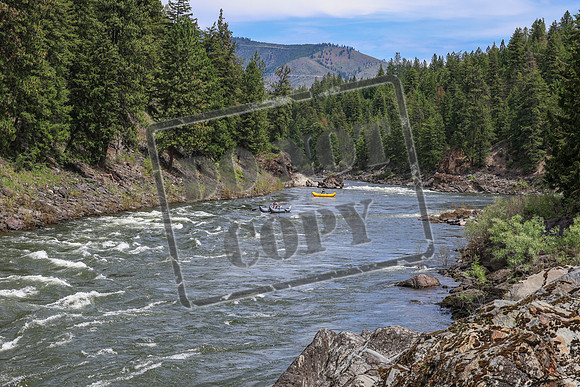 20260619-IMG_7901