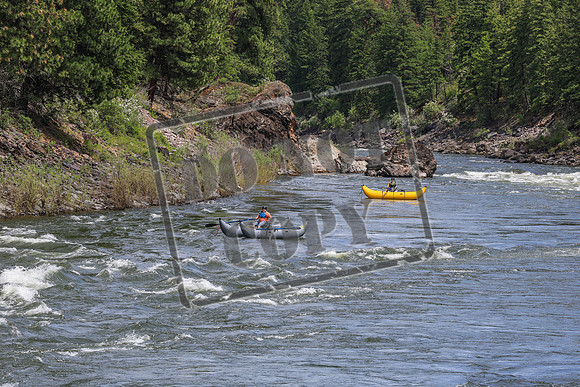 20260619-IMG_7900