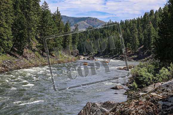 20260619-IMG_7070