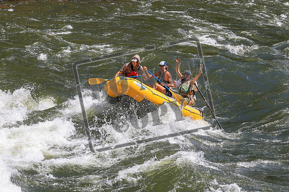 20260619-IMG_7103