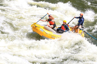 20260619-IMG_7087
