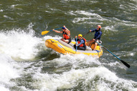 20260619-IMG_7081