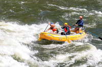 20260619-IMG_7082