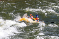 20260619-IMG_7131