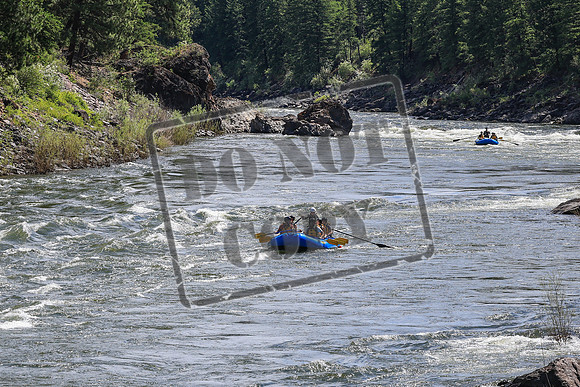 20260619-IMG_6762