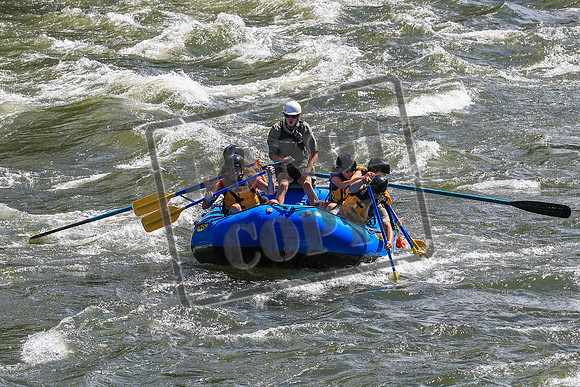 20260619-IMG_6764