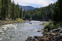 20260619-IMG_6797