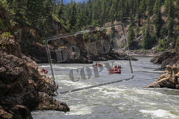 20260619-IMG_7887