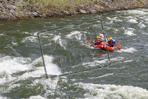 20260619-IMG_7824