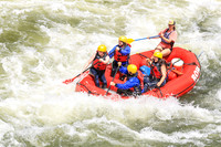 20260619-IMG_7838