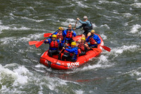 20260619-IMG_7854