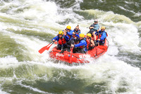 20260619-IMG_7864